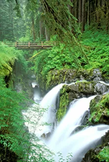 Images Dated 11th May 2006: North America, USA, Washington State, Olympic National Park. Sol Duc Falls and bridge