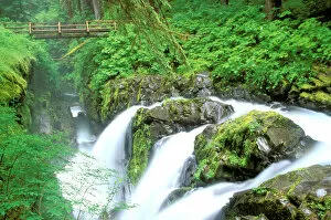 Images Dated 11th May 2006: North America, USA, Washington State, Olympic National Park. Sol Duc Falls and bridge