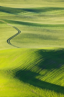 Images Dated 15th June 2005: North America, USA, Washington State, Whitman County, S-Pattern Road leading Through