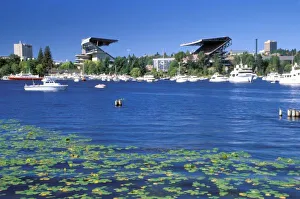 North America, USA, Washington State, Seattle, Lake Washington. Husky Stadium with