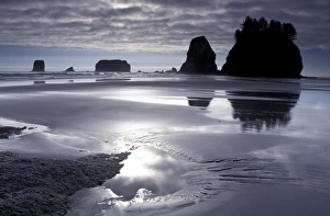 North America, USA, Washington State, LaPush. Seastacks at Second Beach
