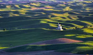 Silo Prints: North America; USA; Washington; Steptoe; Old Silo in Spring Wheat Field