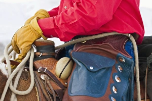 Images Dated 20th May 2007: North America; USA; Wyoming; Shell; Cowboy on Horse wearing Leather Chaps; (MR)