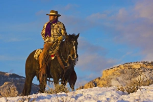 Images Dated 12th February 2008: North America; USA; Wyoming; Shell; Cowboy on his Horse in the Snow; (MR)