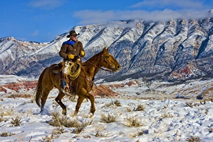North America; USA; Wyoming; Shell; Cowboy riding Horse through the Snow; Model Released