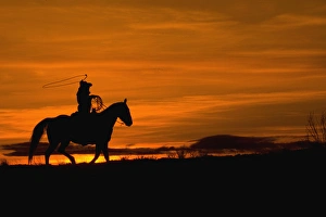 Images Dated 12th February 2008: North America; USA; Wyoming; Shell; Cowboy riding in the Sunset with lariat Rope; (MR)