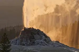 Images Dated 23rd June 2008: North America, USA, Wyoming, Yellowstone National Park, Geyser spewing hot water and steam