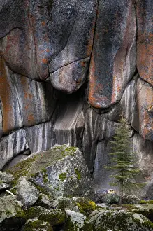 Images Dated 16th October 2010: North America, USA, Wyoming, Yellowstone National Park
