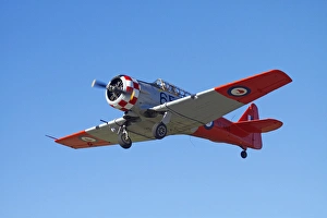 Images Dated 7th April 2012: North American Harvard, or T-6 Texan, or SNJ