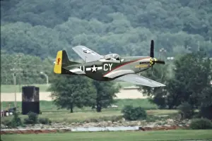 Air Plane Prints: North American P-51 D Mustang, Gunfighter near Holman Field, St. Paul