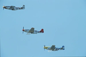 Wisconsin Prints: North American P-51D Mustang Formation, Donna-Mite, Tuskegee Redtail and Dazzling Donna