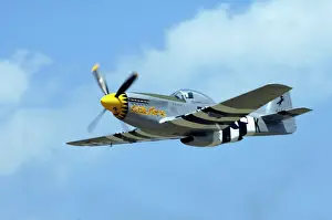Wisconsin Prints: North American P-51D Mustang, Little Horse flying in the sky