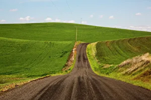 Palouse Prints: North Amnerica; USA Washington; Palouse Country; Back road through the Wheat fields
