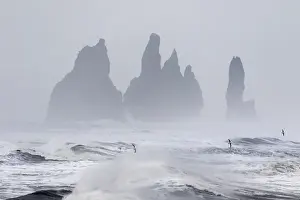 Images Dated 19th February 2015: North Atllantic coast near Vik y Myrdal during a winter storm with heavy gales