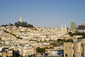 North Beach Prints: North Beach, Coit Tower, San Francisco, California, USA