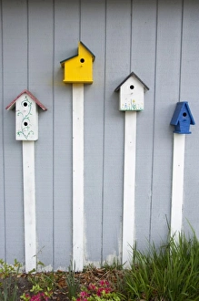 Images Dated 24th April 2011: North Carolina, Beaufort. Four bird houses