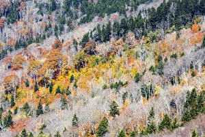 North Carolina, Blue Ridge Parkway