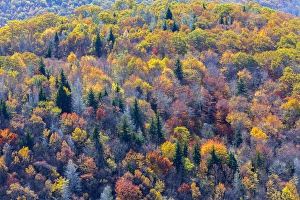 Images Dated 20th October 2014: North Carolina, Blue Ridge Parkway