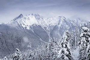 North Cascade Prints: North Cascades after fresh snowfall. Mount Sefrit and Nooksack Ridge in the distance