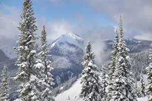 Freeze Prints: North Cascades in fresh winter snow. Manning Provincial Park, British Columbia