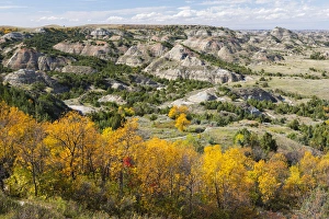 Badland Prints: North Dakota, Theodore Roosevelt National Park, South Unit, Painted Canyon