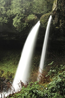 Images Dated 3rd January 2010: North Falls, Silver Falls State Park, Oregon, USA