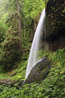 Blurred Motion Prints: North Falls, Silver Falls State Park, Oregon, USA