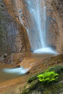 Images Dated 15th May 2008: North Fork Falls, Cougar Mountain Regional Wildland Park, Washington, USA