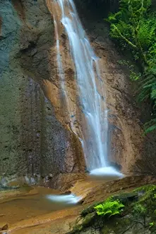 Images Dated 15th May 2008: North Fork Falls, Cougar Mountain Regional Wildland Park, Washington, USA