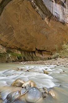 The North Fork of the Virgin River in the Zion Narrows of Zion National Park in Utah