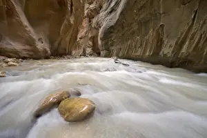 Images Dated 5th April 2007: The North Fork of the Virgin River in the Zion Narrows of Zion National Park in Utah