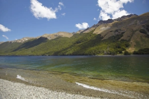 Beech Prints: North Mavora Lake, and Livingstone Mountains, Southland, South Island, New Zealand