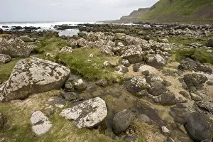 Images Dated 21st May 2007: Northern Ireland, basaltic rock formations, World Heritage Site, County Antrim, coast