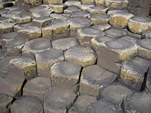 Images Dated 14th June 2010: Northern Ireland, Giants Causeway, near Bushmills, geologic hexagonal basalt columns