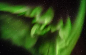 Images Dated 23rd June 2022: Northern lights over Angmagssalik Fjord near settlement Kuummiit