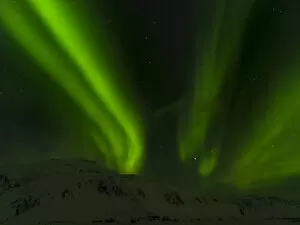 Iceland Collection: Northern Lights or aurora borealis near Hoefn, over the mountains of Vatnajoekull NP during Winter