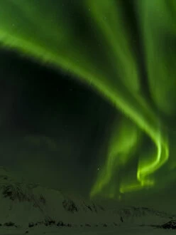 Iceland Gallery: Northern Lights or aurora borealis near Hoefn, over the mountains of Vatnajoekull NP during Winter