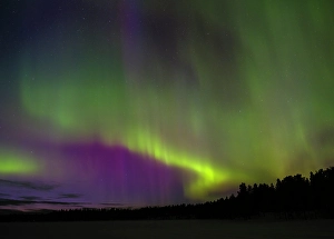 Spruce Prints: Northern lights during winter near Kayla in Finnish Lapland. Scandinavia, Finland