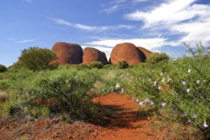 Images Dated 2004 July: 19 Jul 2004