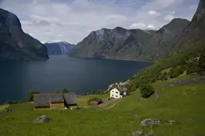 Images Dated 22nd June 2009: Norway, Aurland near Flam. View of Aurland Fjord an arm of Sogne Fjord, the longest