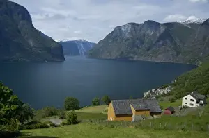 Images Dated 22nd June 2009: Norway, Aurland near Flam. View of Aurland Fjord an arm of Sogne Fjord, the longest