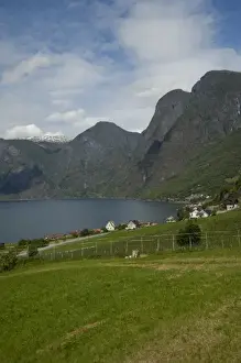 Images Dated 22nd June 2009: Norway, Aurland near Flam. View of Aurland Fjord an arm of Sogne Fjord, the longest