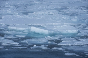 Images Dated 27th July 2015: Norway, Barents Sea, Svalbard, Nordaustlandet