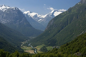Images Dated 4th July 2009: Norway, Geirangerfjord District. Jostedalsbreen National Park