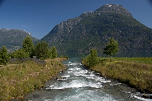Images Dated 4th July 2009: Norway, Geirangerfjord District. Jostedalsbreen National Park