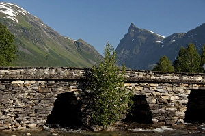 Images Dated 4th July 2009: Norway, Hornindal, Honndalshytta. Old Horndola Bridge, historical stone bridge. Historic