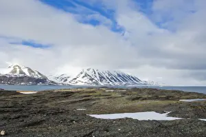 Norwegian Prints: Norway. Lerneroyane or Lerner Islands Svalbard Archipelago, Norway