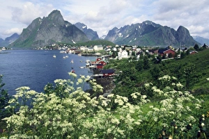 Lofoten Islands Prints: Norway, Lofoten Islands, Moskenesoya Island