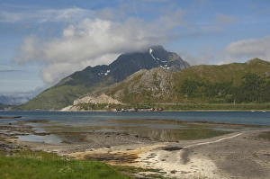 Images Dated 2nd July 2009: Norway, Nordland, Lofoten Archipelago, Gravdal. Fjord view