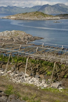Norway, Nordland, Lofoten Archipelago, Mount Vagakaillen area. Fishing village of
